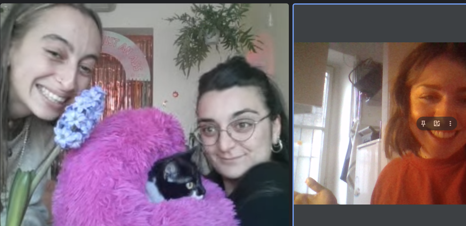 Team in video call
